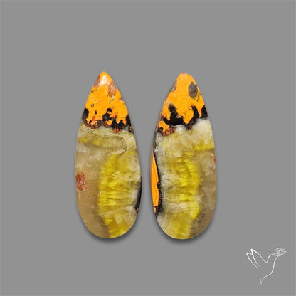 Bumble Bee Jasper Pair