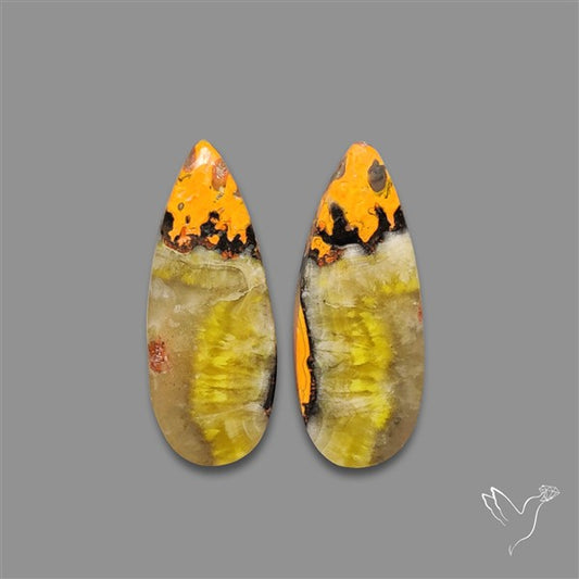 Bumble Bee Jasper Pair