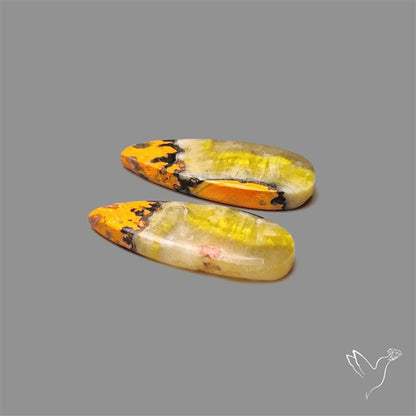 Bumble Bee Jasper Pair
