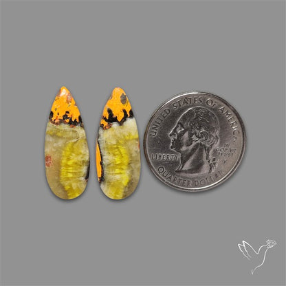 Bumble Bee Jasper Pair