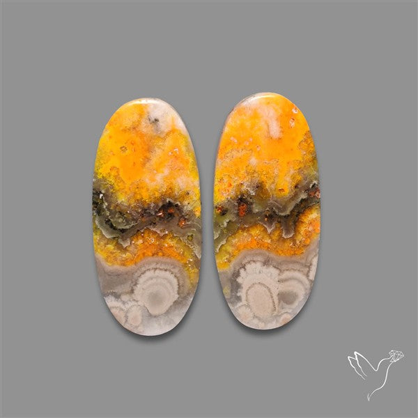 Bumble Bee Jasper Pair