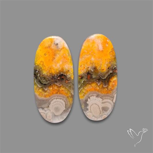 Bumble Bee Jasper Pair
