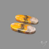Bumble Bee Jasper Pair