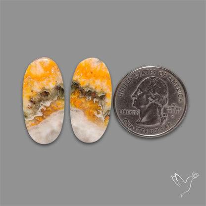 Bumble Bee Jasper Pair