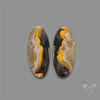 Bumble Bee Jasper Pair
