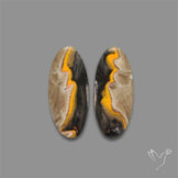 Bumble Bee Jasper Pair