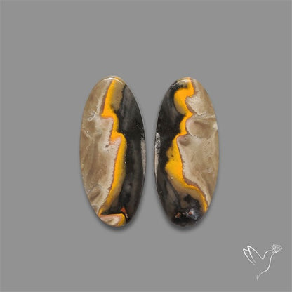 Bumble Bee Jasper Pair