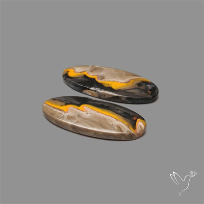 Bumble Bee Jasper Pair