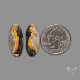 Bumble Bee Jasper Pair