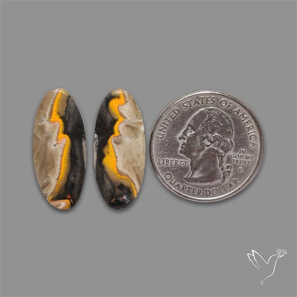 Bumble Bee Jasper Pair