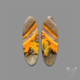 Bumble Bee Jasper Pair