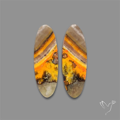 Bumble Bee Jasper Pair