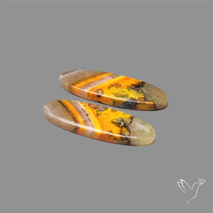 Bumble Bee Jasper Pair