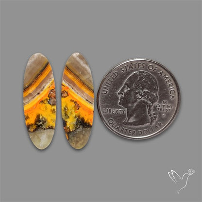 Bumble Bee Jasper Pair