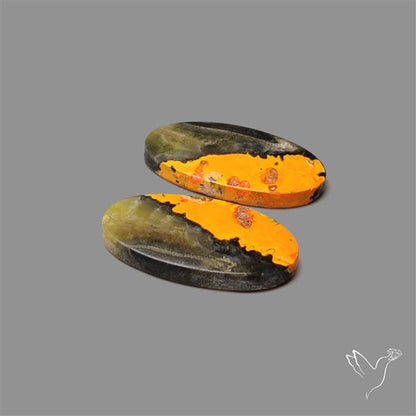 Bumble Bee Jasper Pair