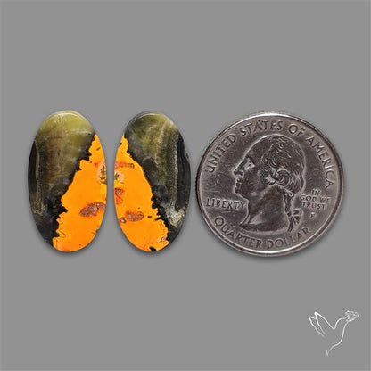 Bumble Bee Jasper Pair