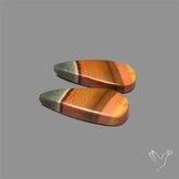 Polychrome Picture Jasper Pair