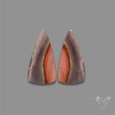 Polychrome Picture Jasper Pair