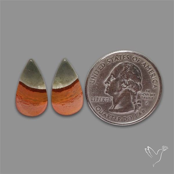 Polychrome Picture Jasper Pair