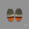 Polychrome Picture Jasper Pair