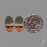 Polychrome Picture Jasper Pair