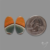 Polychrome Picture Jasper Pair