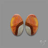 Polychrome Picture Jasper Pair