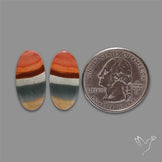 Polychrome Picture Jasper Pair