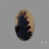 Scenic Agate Cabochon