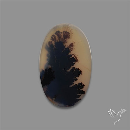 Scenic Agate Cabochon