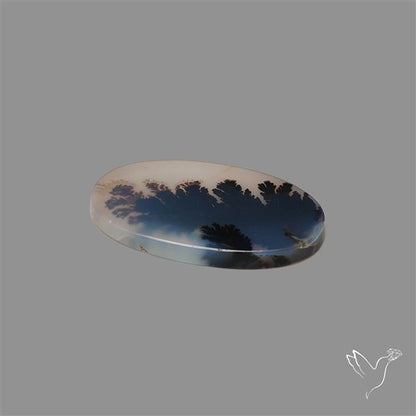 Scenic Agate Cabochon