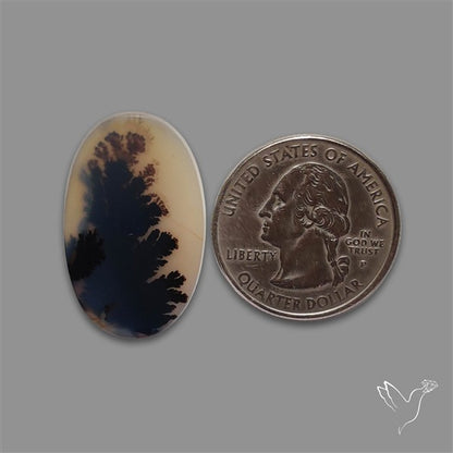 Scenic Agate Cabochon