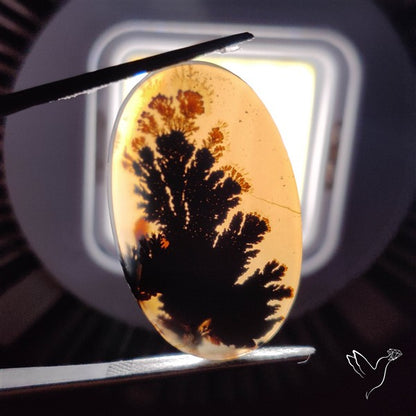Scenic Agate Cabochon