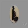 Scenic Agate Cabochon