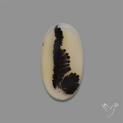 Scenic Agate Cabochon