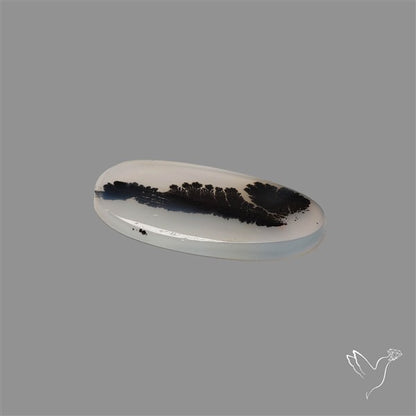 Scenic Agate Cabochon