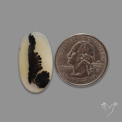 Scenic Agate Cabochon