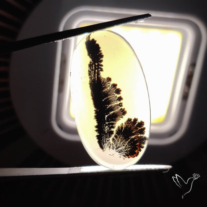 Scenic Agate Cabochon