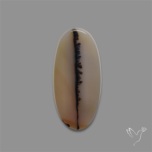 Scenic Agate Cabochon