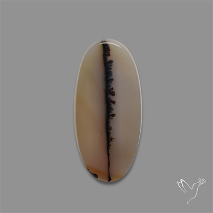 Scenic Agate Cabochon