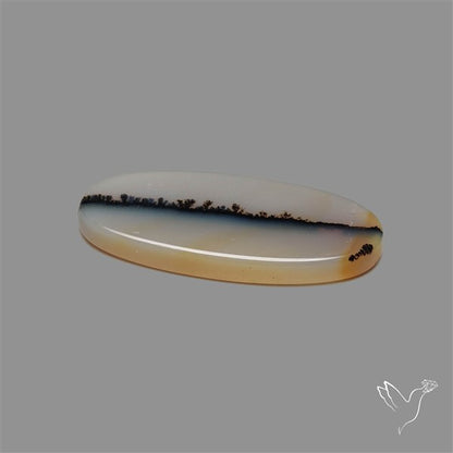 Scenic Agate Cabochon
