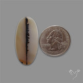 Scenic Agate Cabochon