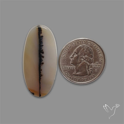 Scenic Agate Cabochon