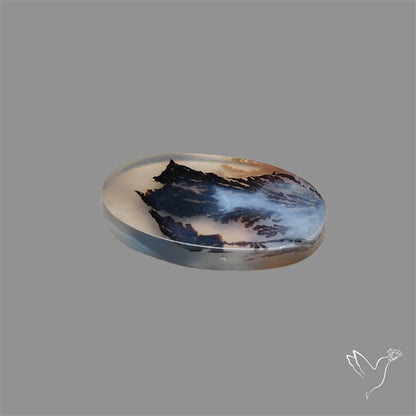 Scenic Agate Cabochon