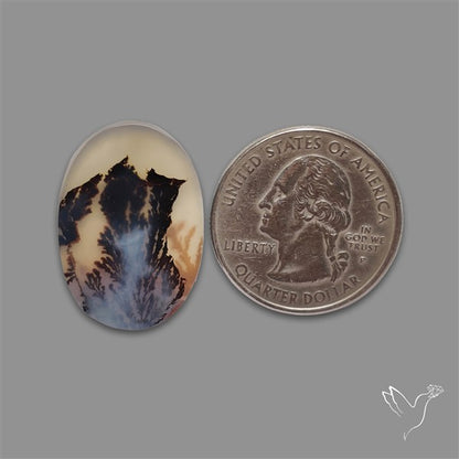 Scenic Agate Cabochon