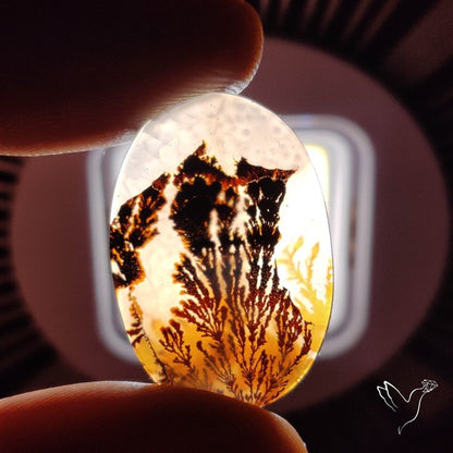 Scenic Agate Cabochon