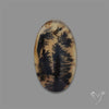 Scenic Agate Cabochon