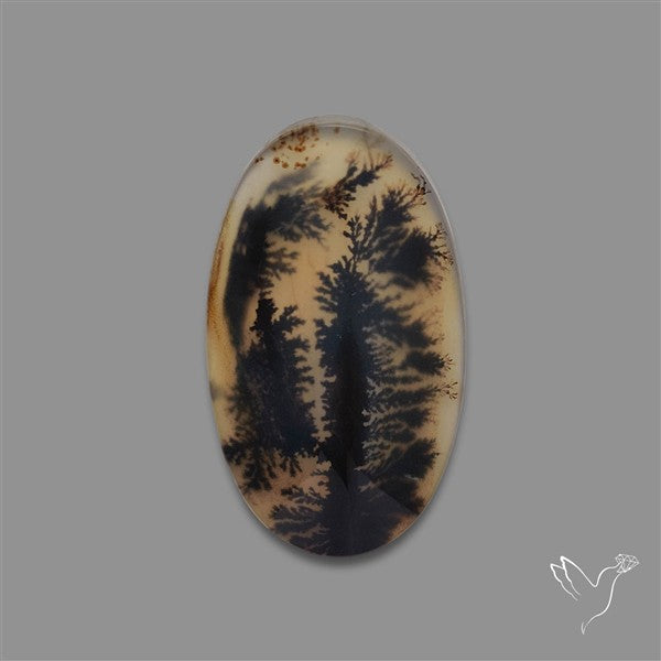 Scenic Agate Cabochon