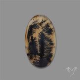 Scenic Agate Cabochon