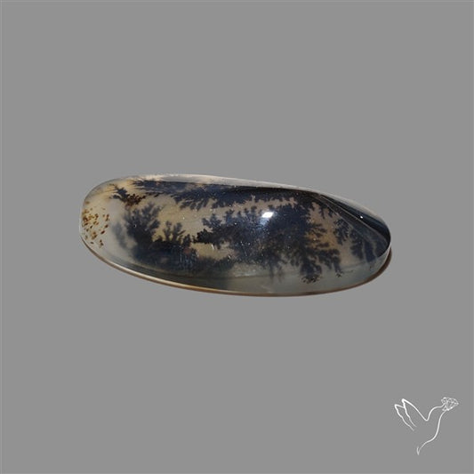 Scenic Agate Cabochon